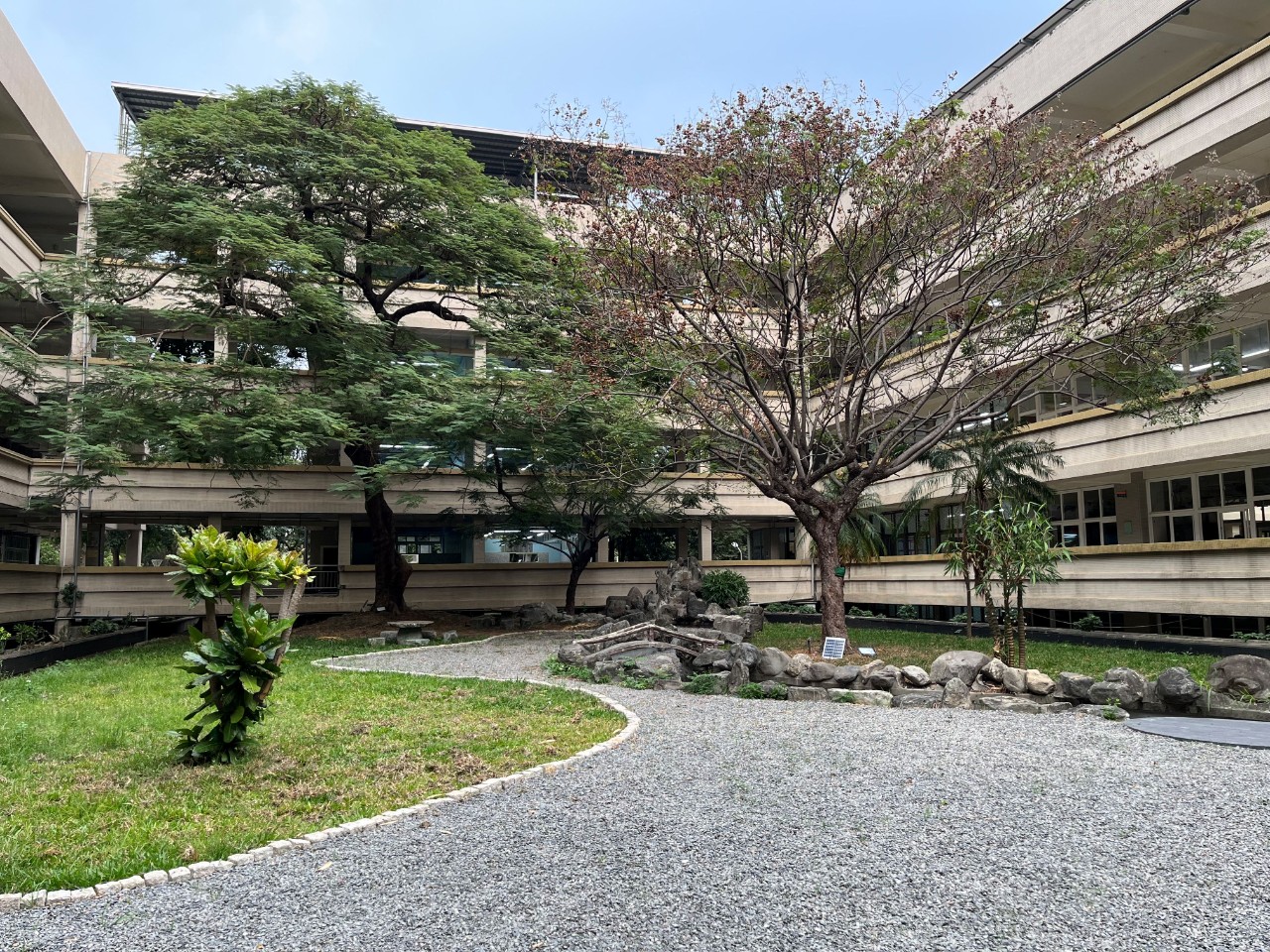 校園一隅，第 7 張。